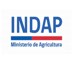 logo-indap